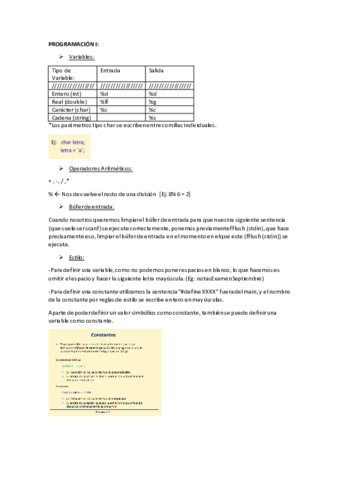 Apuntes-Programacion-I-Teoria.pdf