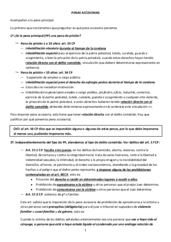 extracto-penas-accesorias-DSA.pdf