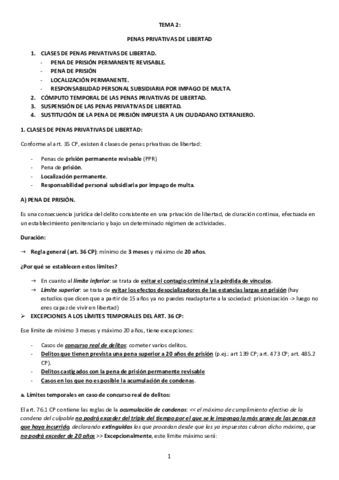 tema-2-sancionador.pdf