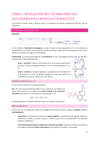 Tema-3.pdf
