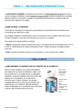 TEMA 3 - NECESIDADES ENERGÉTICAS.pdf