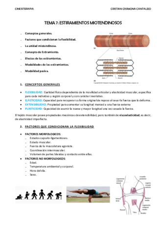 TEMA-7-ESTIRAMIENTOS-MIOTENDINOSOS.pdf