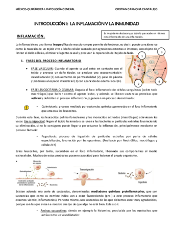 LA-INFLAMACION-Y-LA-INFECCION.pdf