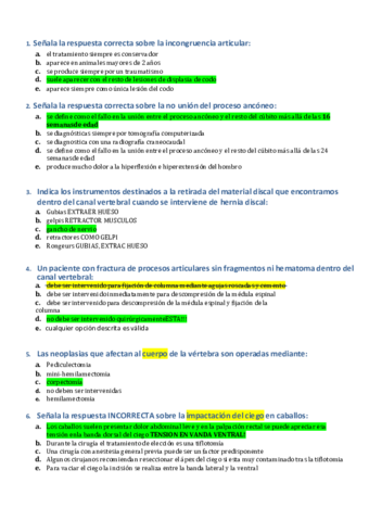 PREGUNTAS CIRU.pdf