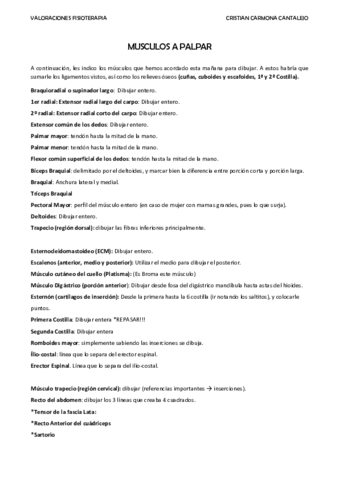 MUSCULOS-A-PALPAR.pdf