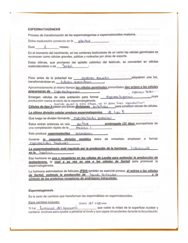 Gametogenia-Testiculo-Y-Ovario.pdf
