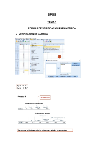 SPSS-1.pdf