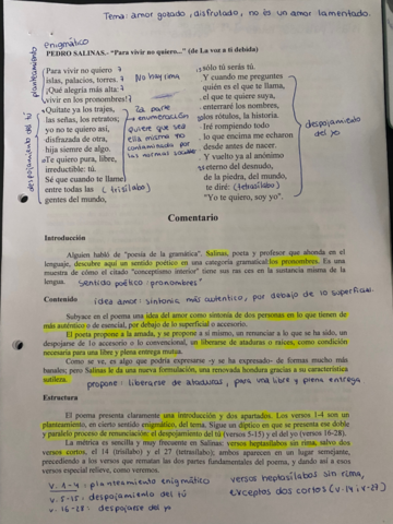 Apuntes-Pedro-Salinas.pdf