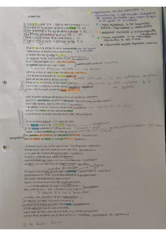 análisis sonatina.pdf