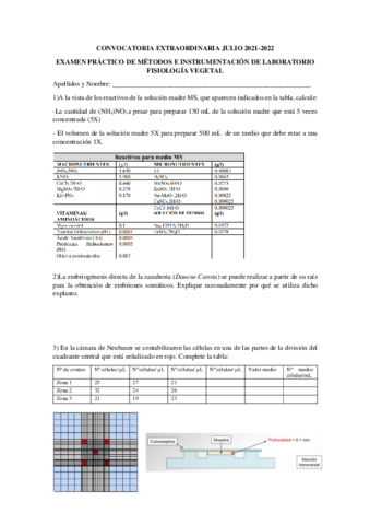 EXAMEN-PRACTICO-MIL-FV-2021-2022.pdf