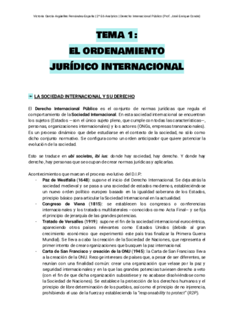 Apuntes Derecho Internacional Público.pdf