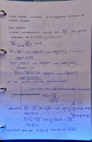 Primer-parcial-FVC.pdf