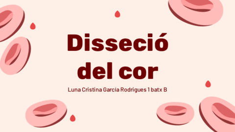 Dissecio-del-cor-Diseccion-de-corazon-con-fotos-anatomia-en-catalan-.pdf