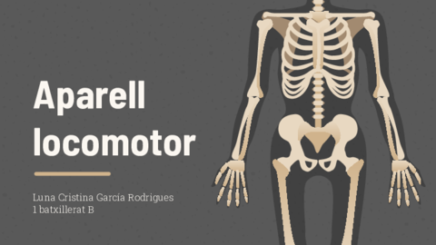 Aparell-locomotor-Aparato-locomotor-Anatomia-Catalan-.pdf