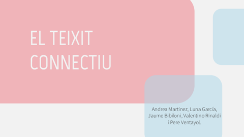 Teixit-connectiu-tejido-conectivo-anatomia-en-catala--catala.pdf