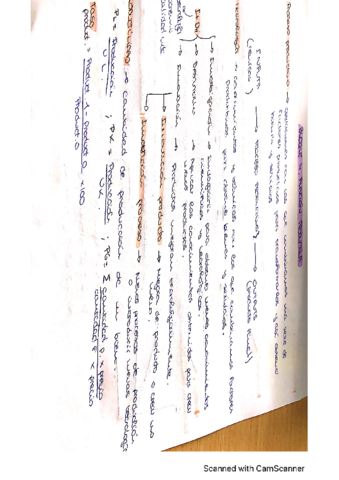 bloque-4-funcion-productiva.pdf