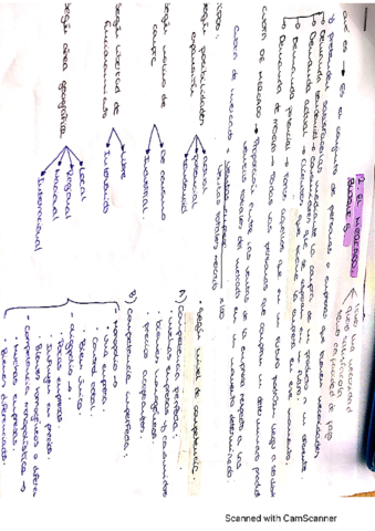 bloque-5-el-mercado.pdf