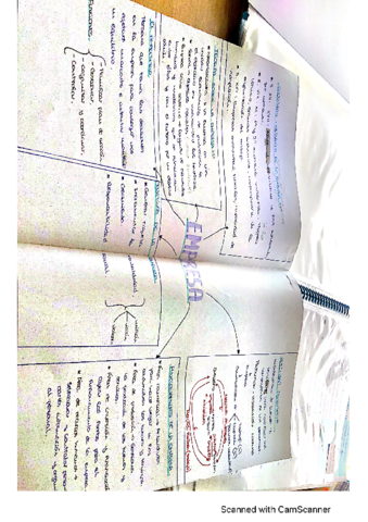 CamScanner-07-05-2022-11.pdf