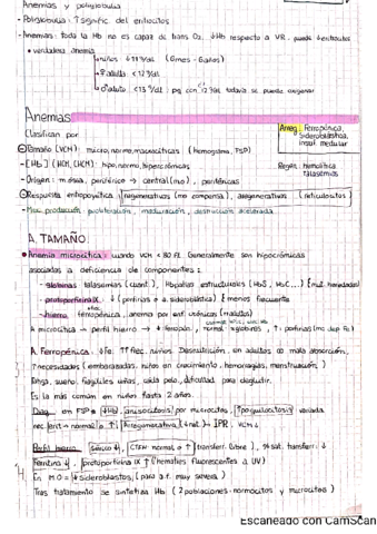 8-patologias-del-sistema-eritrocitario.pdf