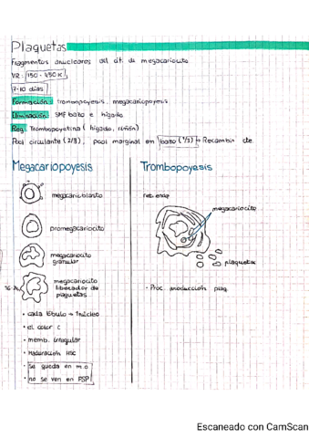 14-fisiologia-plaquetaria.pdf