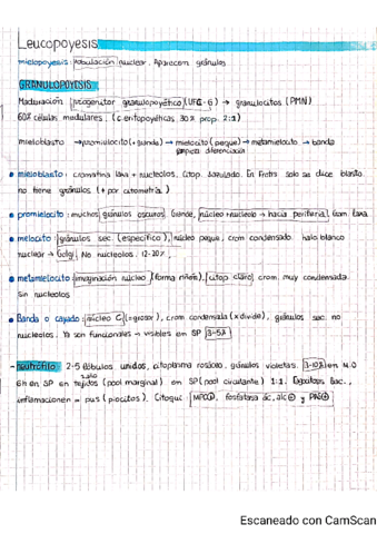 9-Fisiologia-leucocitaria.pdf