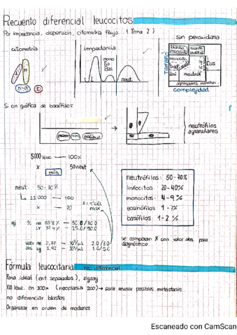 10-y-11-parametros-y-alteraciones-leuc.pdf