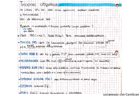 12-tinciones-citoquimicas.pdf