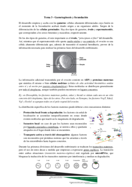 Tema 3 - Gametogénesis y fecundación.pdf