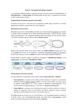 Tema 8 - Formación del patrón corporal.pdf