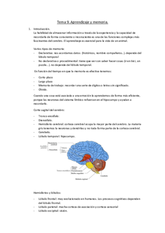 Tema-9-Aprendizaje-y-memoria.pdf