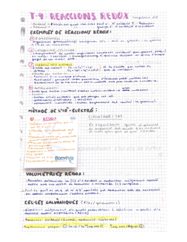 Reaccions-redox-piles-i-electrolisi.pdf