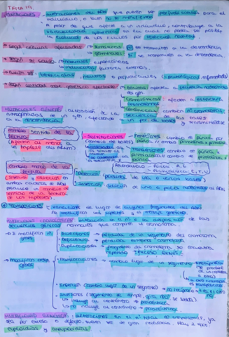 TEMA-19-MUTACIONES-EVOLUCION.pdf