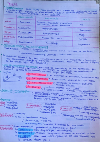 TEMA-20-MICROORGANISMOS.pdf