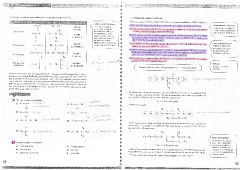 Formulacion-organica.pdf