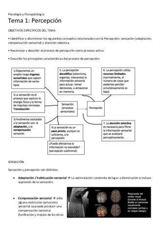 Tema-1-Percepcion.pdf