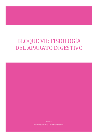 BLOQUE-VII.pdf