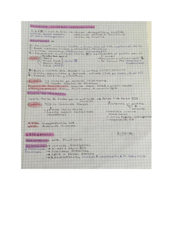 Literatura-neoclasica.pdf