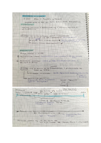 Literatura-romantica.pdf