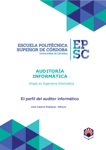 El-perfil-del-auditor-informatico.pdf