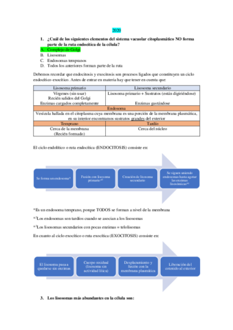 EXAMENES EXPLICADOS (11-30 clases)