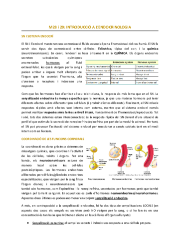 magis-endocri.pdf