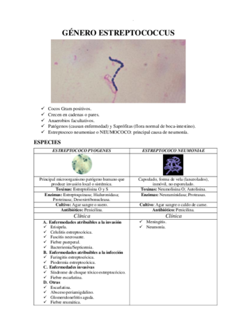 GENERO-ESTREPTOCOCCUS.pdf