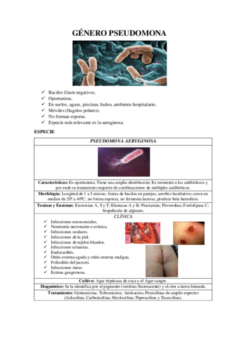 GENERO-PSEUDOMONA.pdf