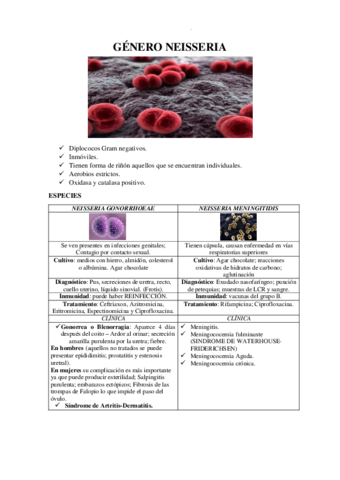 GENERO-NEISSERIA.pdf