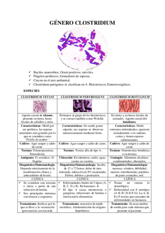 GENERO-CLOSTRIDIUM.pdf