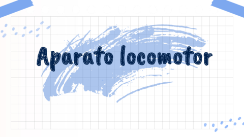 APARATO-LOCOMOR.pdf