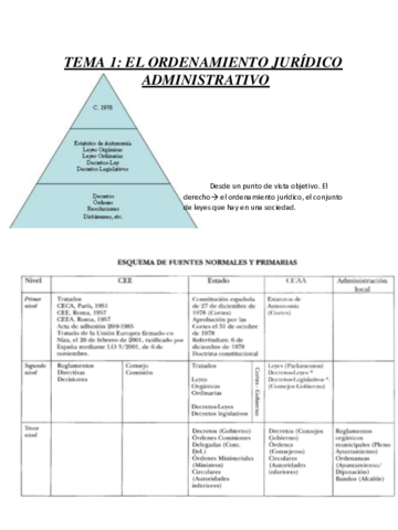 TEMA-1-DAD.pdf