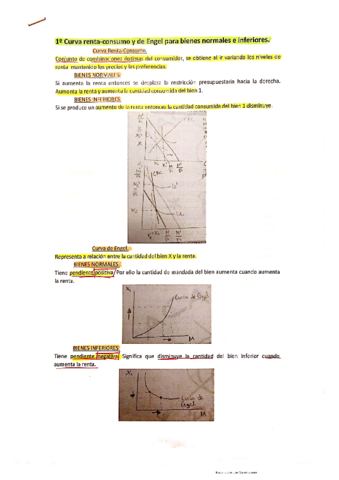 MicroIntermedia-Curva-renta-consumo.pdf