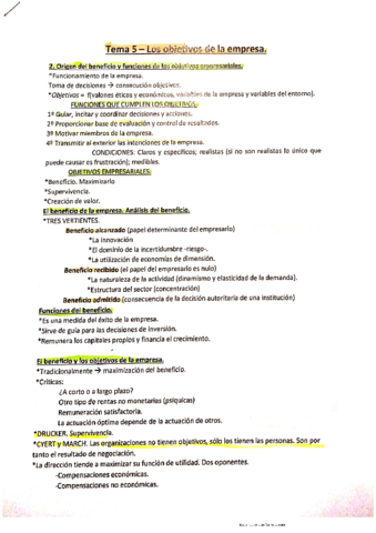 Marketing-Tema-5.pdf