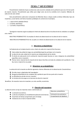 TEMA-7-TIS.pdf